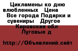 Цикламены ко дню влюбленных › Цена ­ 180 - Все города Подарки и сувениры » Другое   . Кировская обл.,Луговые д.